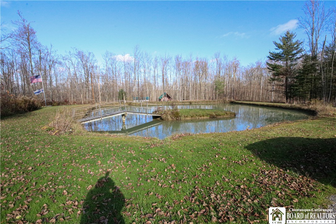 4887 Kortwright Road Busti, NY 14710 - Photo 10 of 39