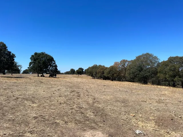 $2,270,000 | 11176 Camanche Parkway South, Wallace, CA 95254