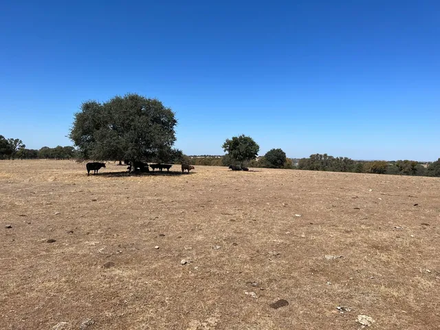 $2,270,000 | 11176 Camanche Parkway South, Wallace, CA 95254