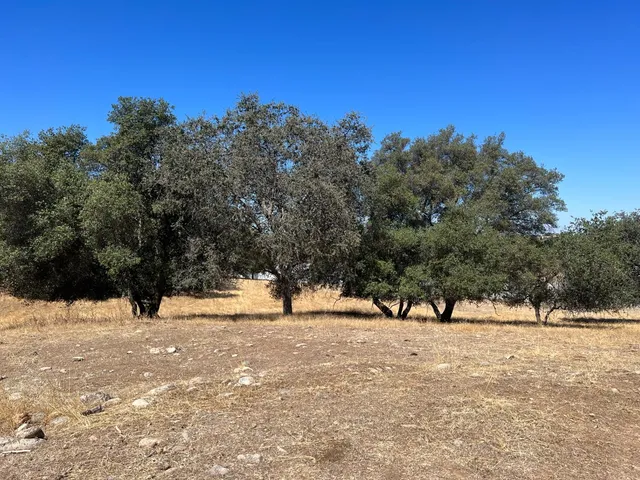 $2,270,000 | 11176 Camanche Parkway South, Wallace, CA 95254