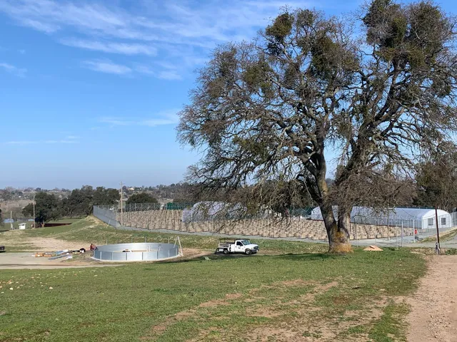 a view of a park with tree s
