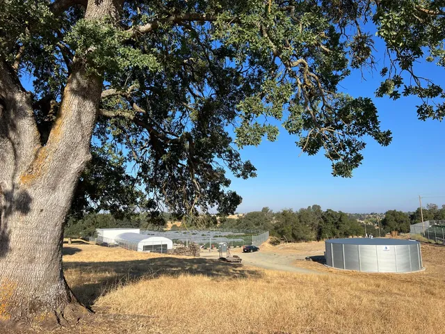 $2,270,000 | 11176 Camanche Parkway South, Wallace, CA 95254