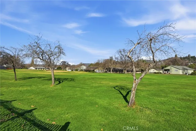 a view of a park with houses