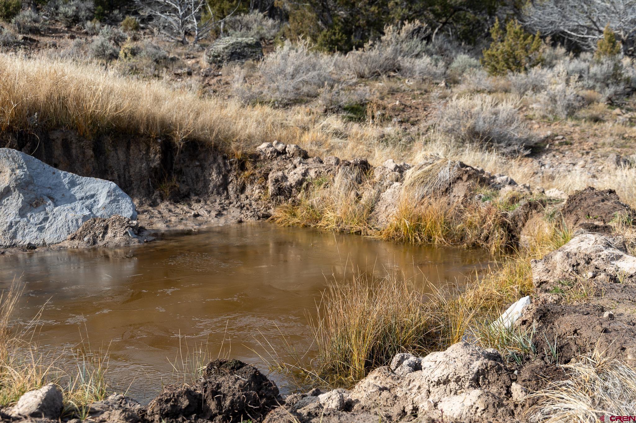 10795 52 1/2 Road Molina, CO 81643 - Photo 37 of 39