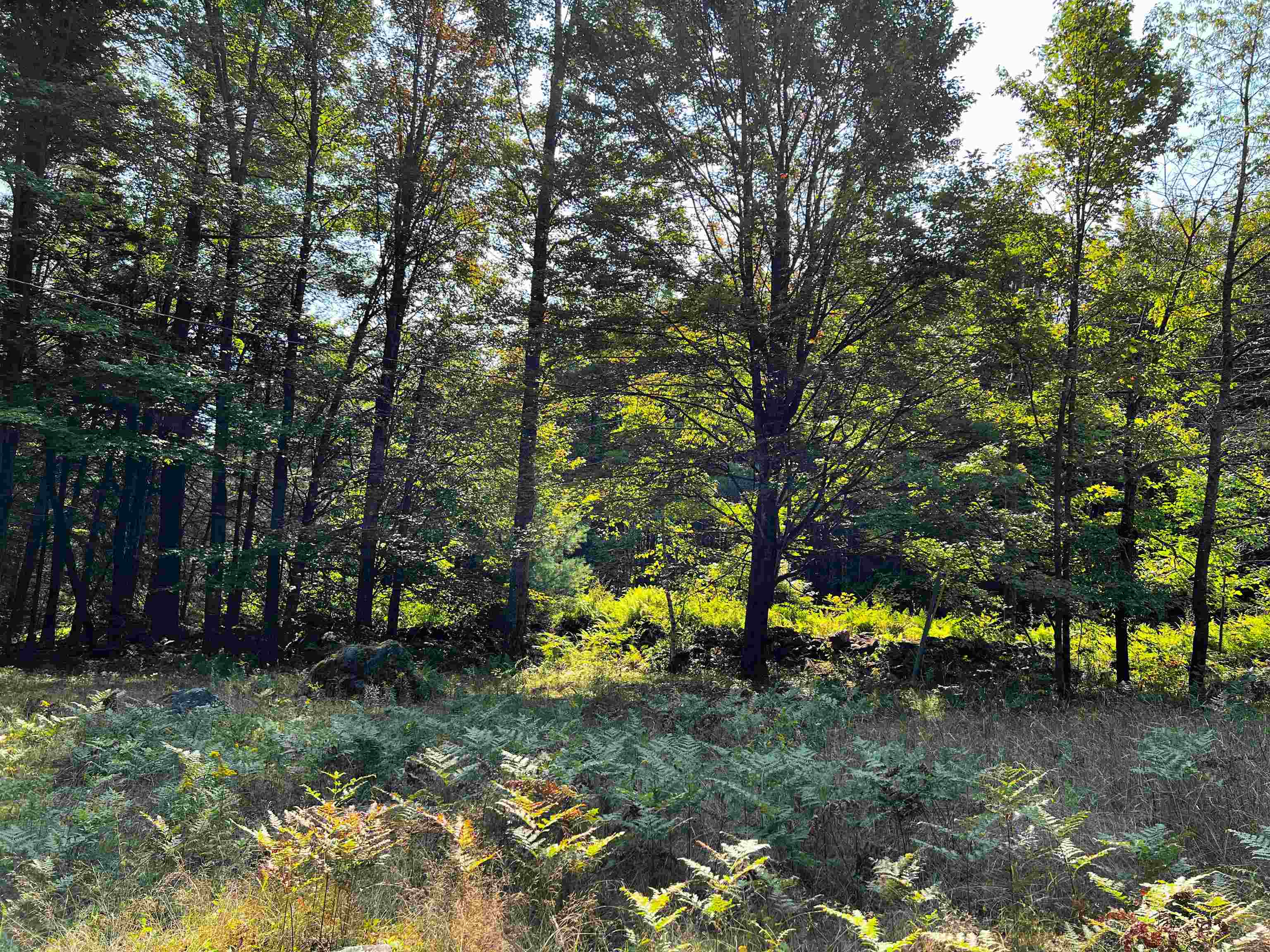 772 Leonard Hill Road Concord, VT 05824 - Photo 14 of 14 Gallery Image 14