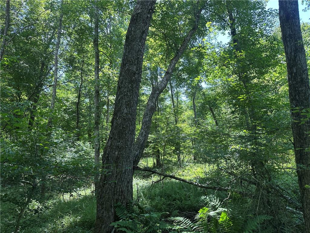 0 Cooperstown Road Cooperstown, PA 16317 - Photo 7 of 23