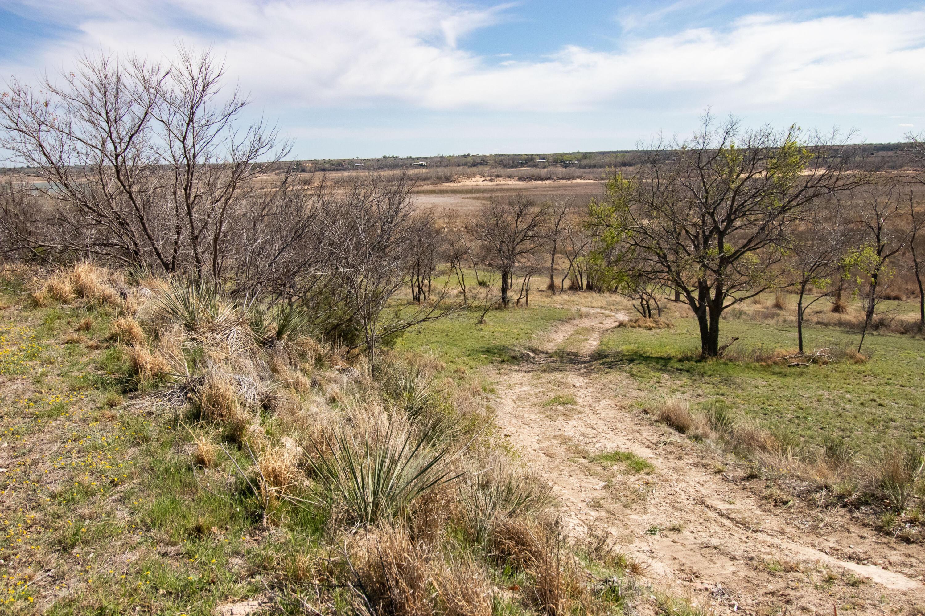 401 10 Bears Trail Howardwick, TX 79226 - Photo 48 of 71 a view of a yard with a tree