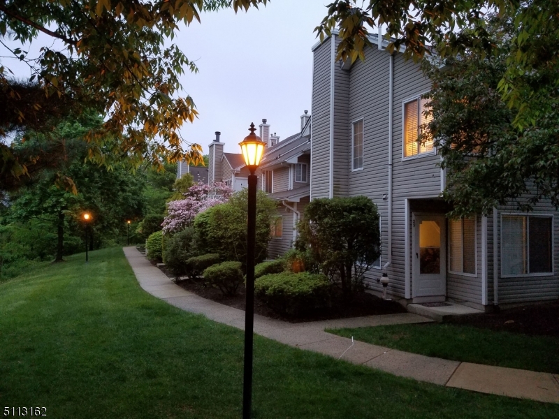 25 Stevens Court Bedminster, NJ 07921 - Photo 2 of 30 a view of a house with a yard and plants