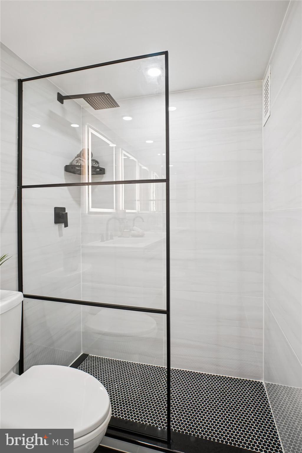 4201 Cathedral Avenue Northwest, Unit 1209W Washington, DC 20016 - Photo 18 of 46 a bathroom with a toilet and a shower