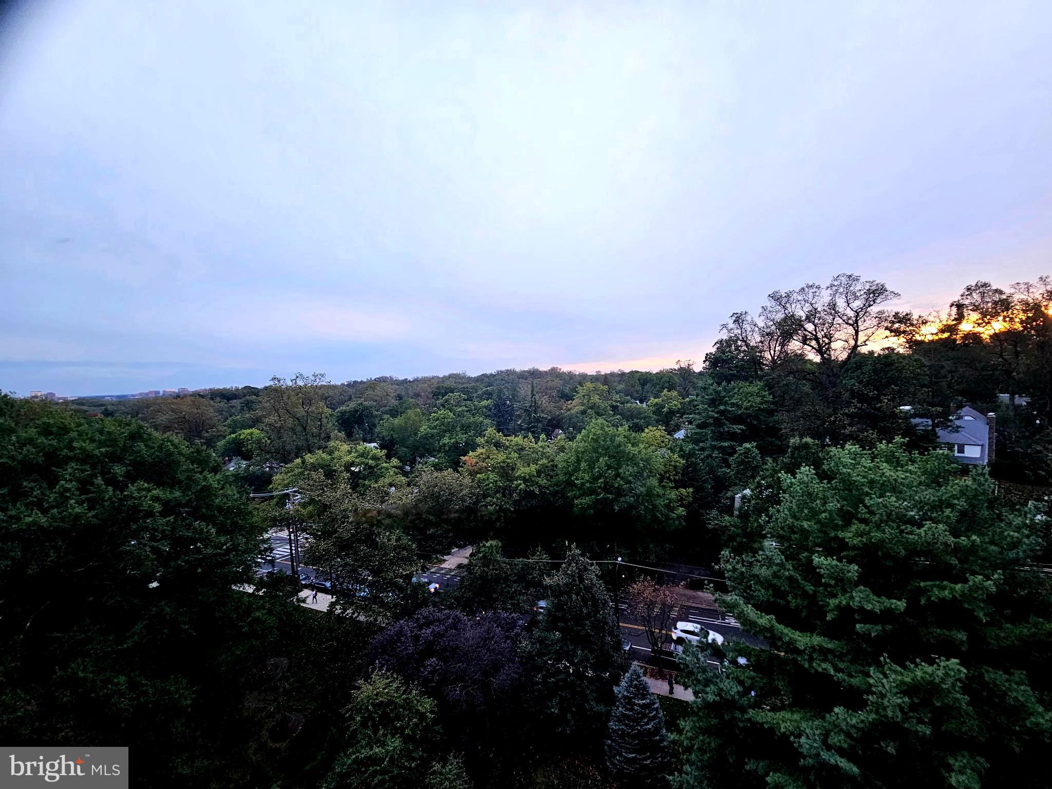 4201 Cathedral Avenue Northwest, Unit 1209W Washington, DC 20016 - Photo 26 of 46 a view of a city