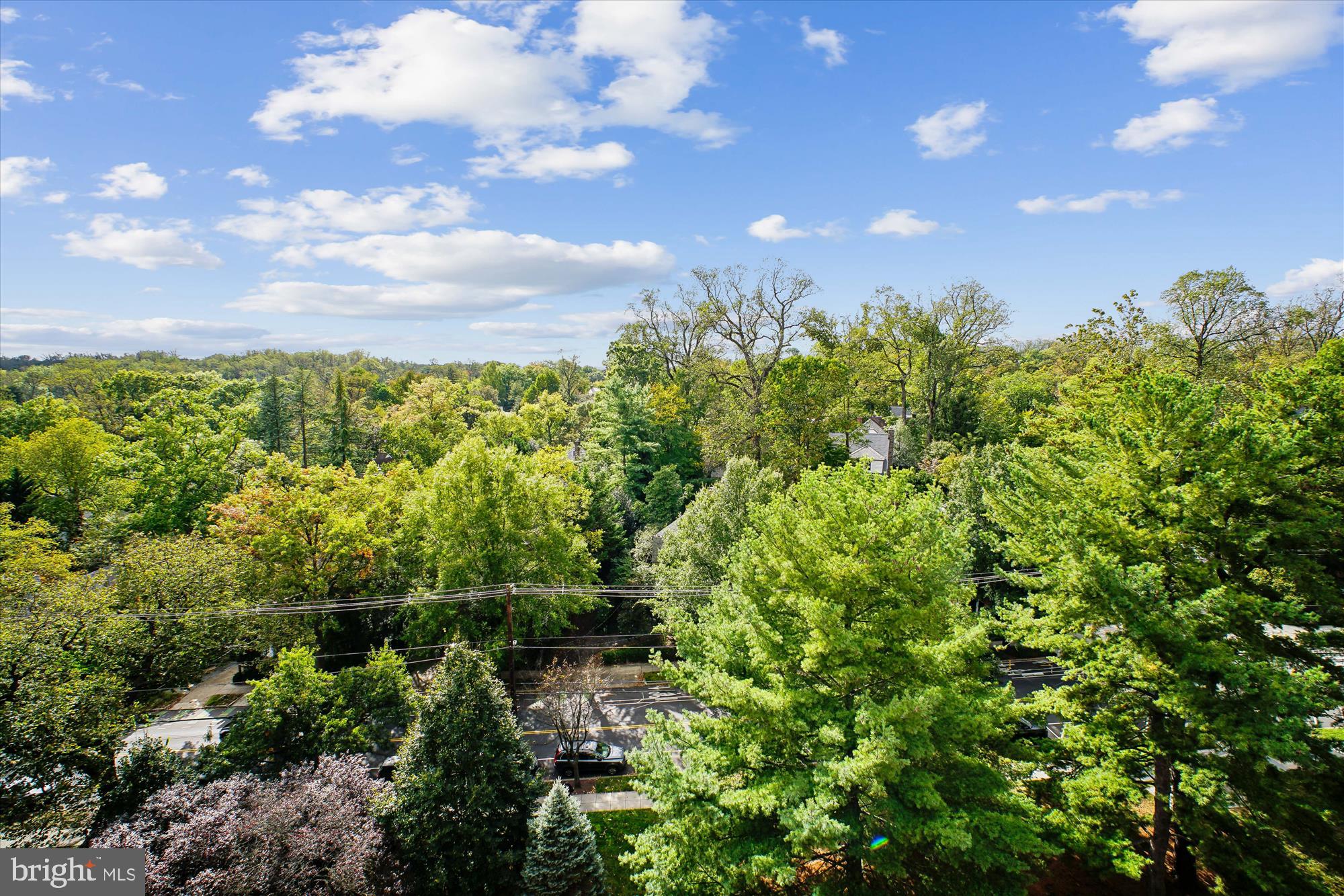 4201 Cathedral Avenue Northwest, Unit 1209W Washington, DC 20016 - Photo 27 of 46 a view of a bunch of trees