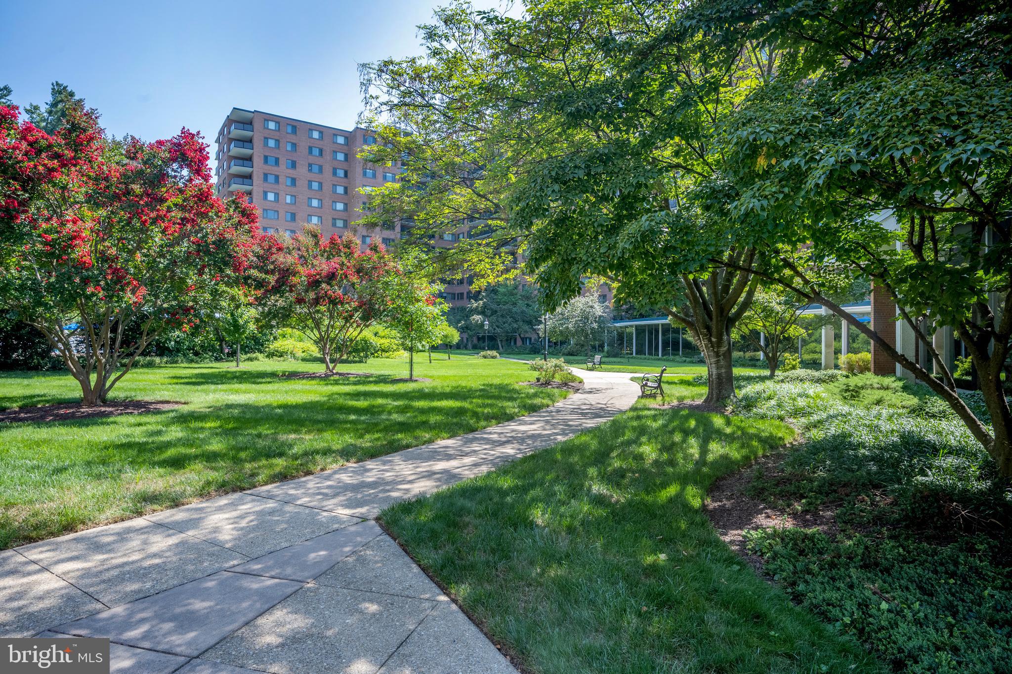 4201 Cathedral Avenue Northwest, Unit 1209W Washington, DC 20016 - Photo 28 of 46 a view of a house with a big yard and large trees