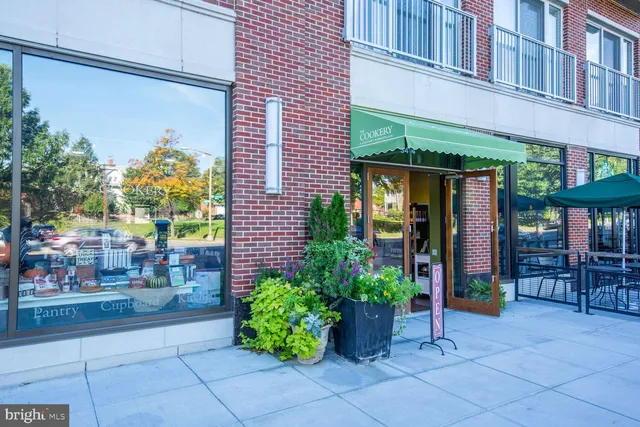 a view of a building with a potted plant