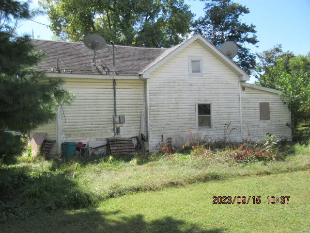 a view of a backyard with plants and large trees