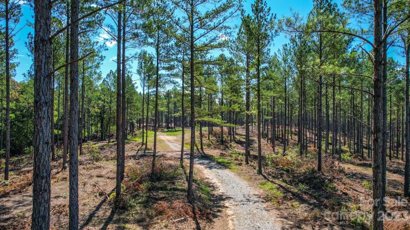 0 Smith Valley Road Sharon, SC 29742 - Photo 2 of 21 a view of outdoor space and garden