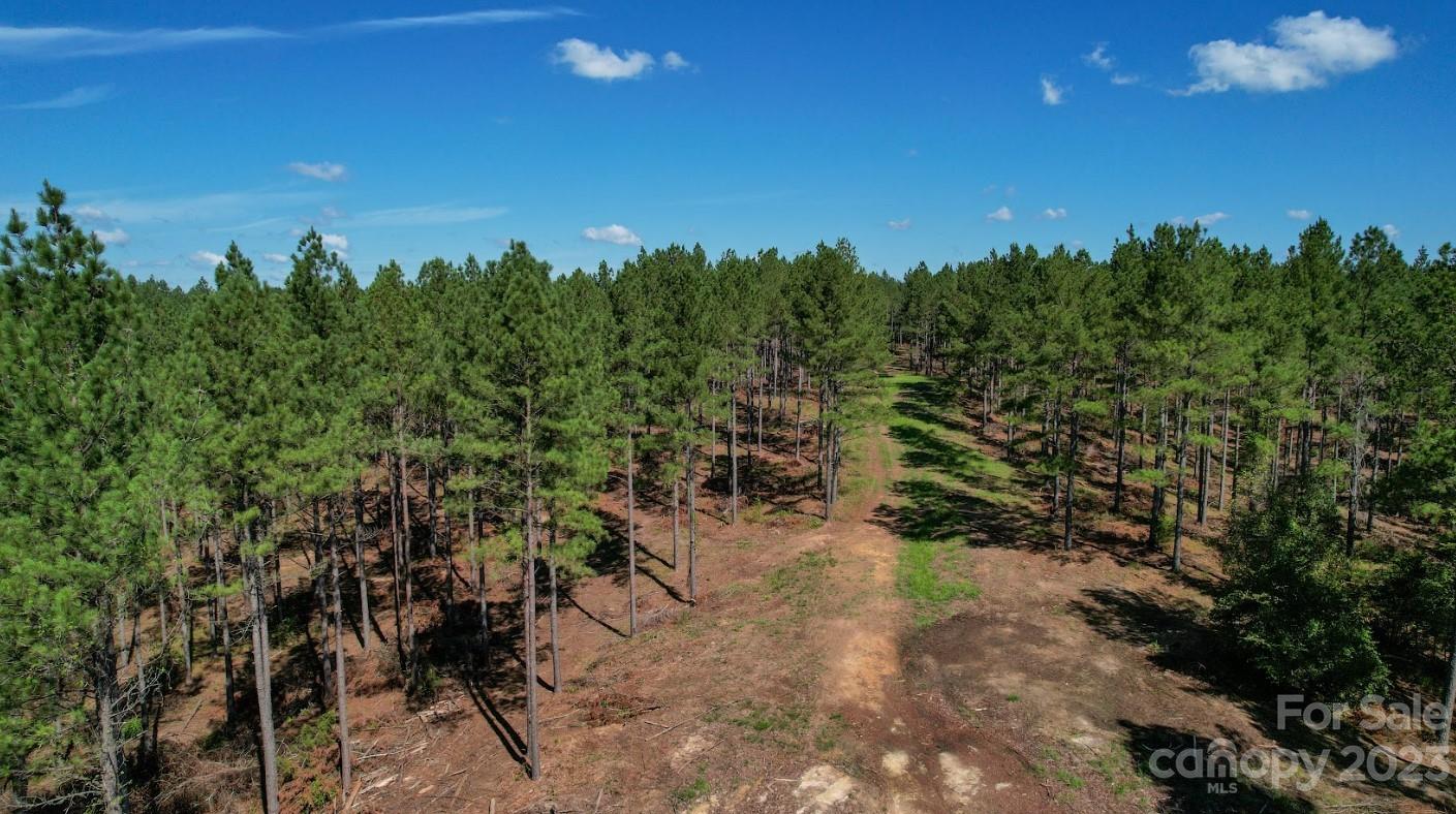 0 Smith Valley Road Sharon, SC 29742 - Photo 5 of 21 a view of a yard with a tree