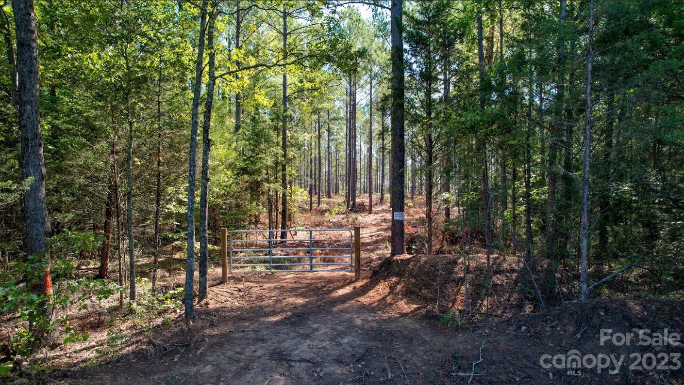 0 Smith Valley Road Sharon, SC 29742 - Photo 8 of 21 a view of outdoor space with lots of trees