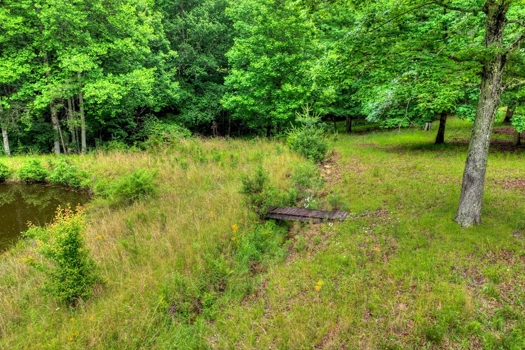 20.11 Mountain View Road McCaysville, GA 30555 - Photo 34 of 51