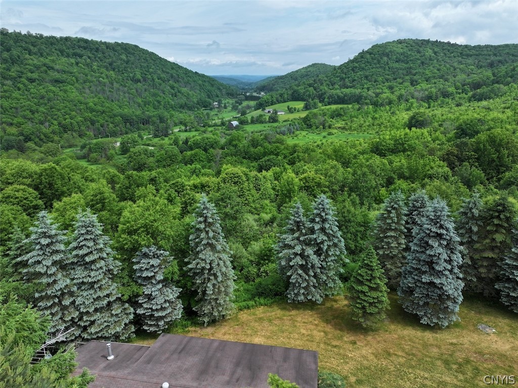 3773 Haskell Vly Vw Road Clarksville, NY 14727 - Photo 46 of 50