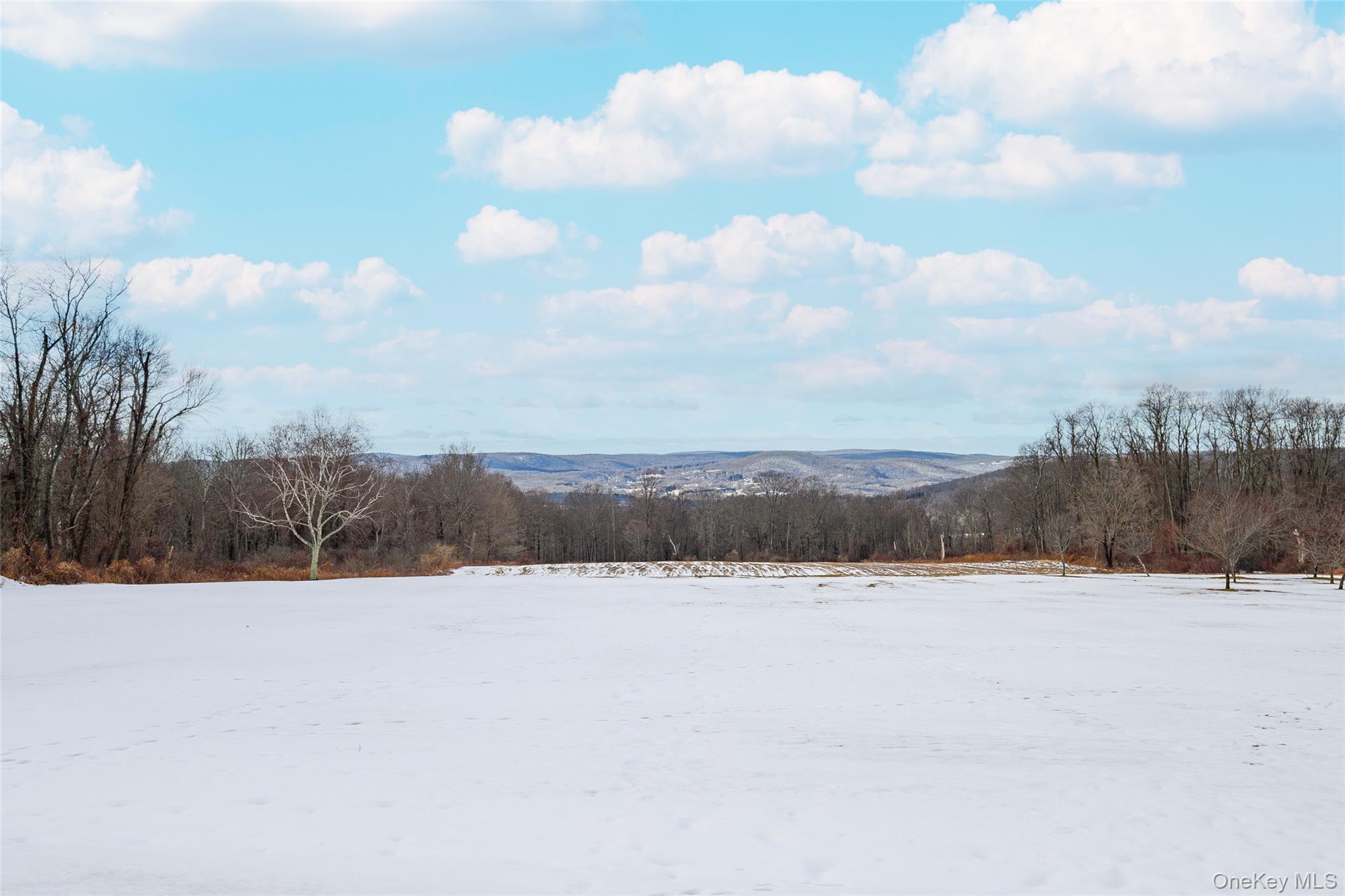159 Old Quaker Hill Road Pawling, NY 12564 - Photo 39 of 40 Yard layered in snow featuring a wooded view