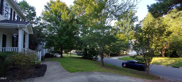 a green field with lots of trees