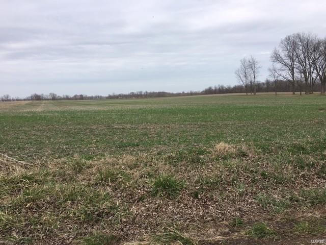 1 Court Road Trenton, IL 62293 - Photo 1 of 2
