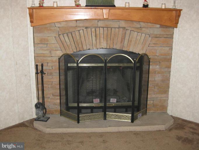 7810 Clark Road, Unit D25 Jessup, MD 20794 - Photo 3 of 19 Wood Burning Fireplace