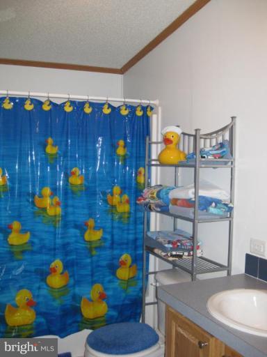 7810 Clark Road, Unit D25 Jessup, MD 20794 - Photo 4 of 19 Bath #2