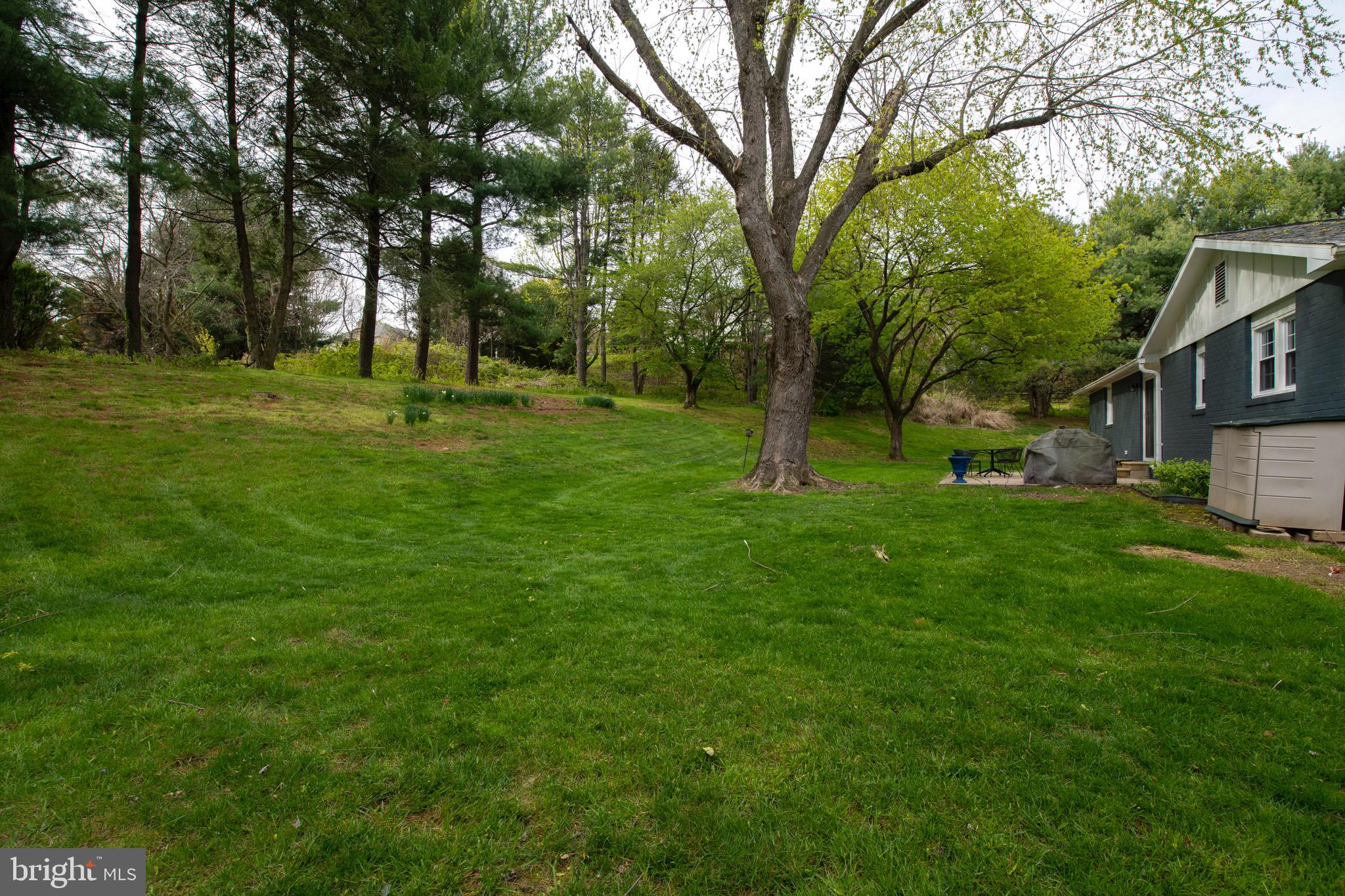 2210 Pot Spring Road Lutherville-Timonium, MD 21093 - Photo 52 of 59 Lots of Wild Life in this Verdant Back Yard
