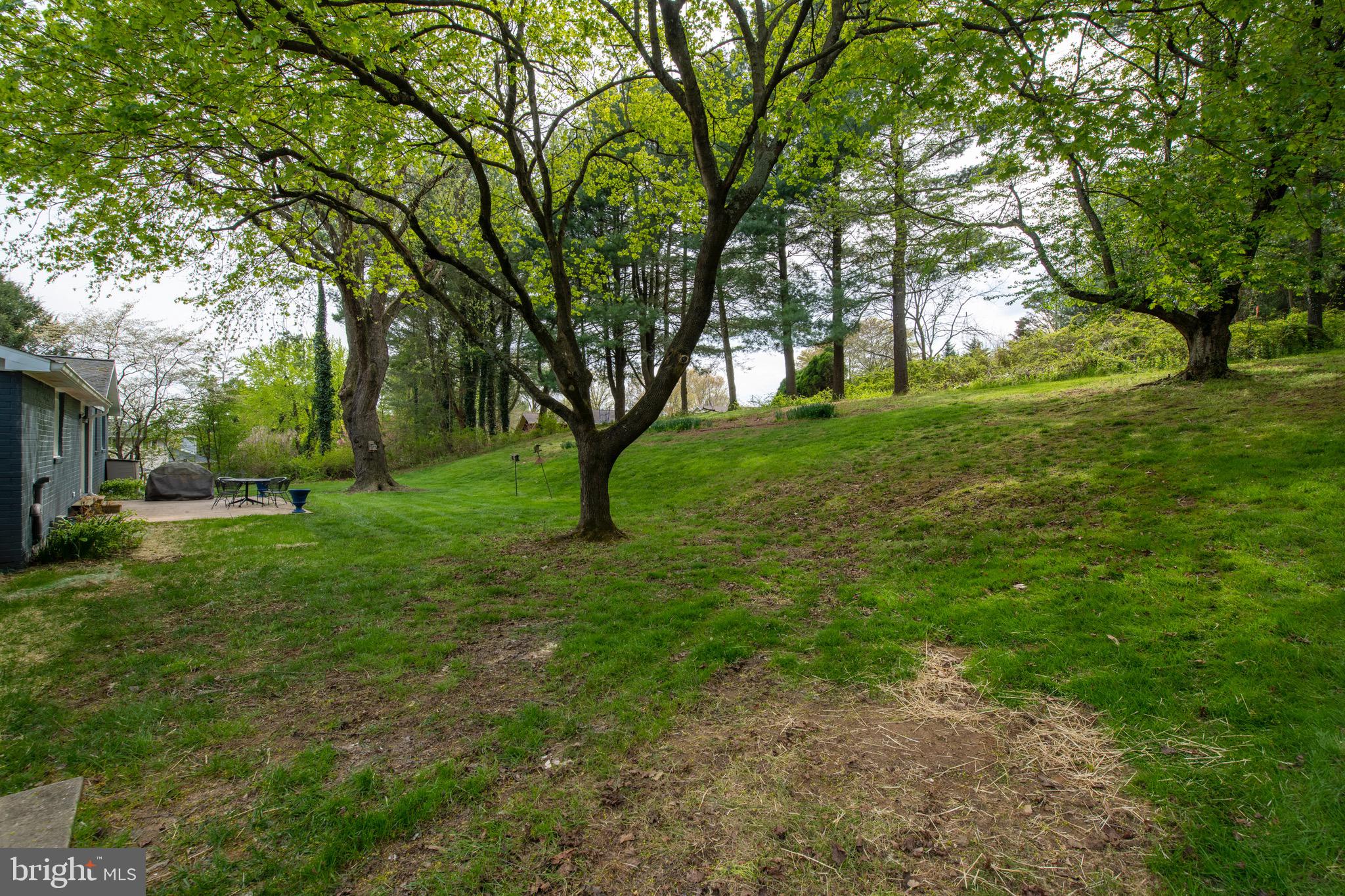 2210 Pot Spring Road Lutherville-Timonium, MD 21093 - Photo 53 of 59 Plenty of space for Pets and Deer to Roam