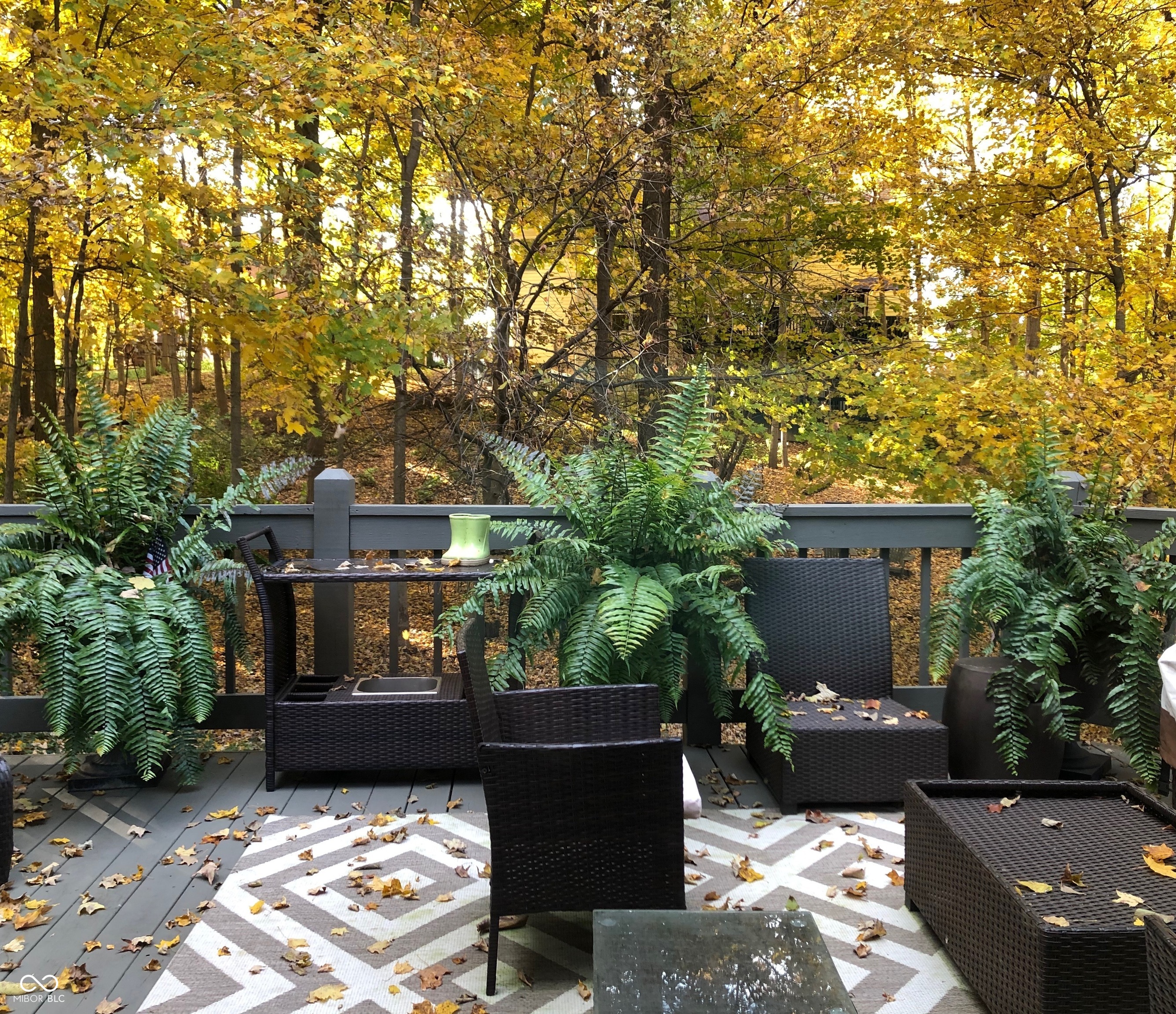 9767 Fortune Drive Fishers, IN 46037 - Photo 53 of 53