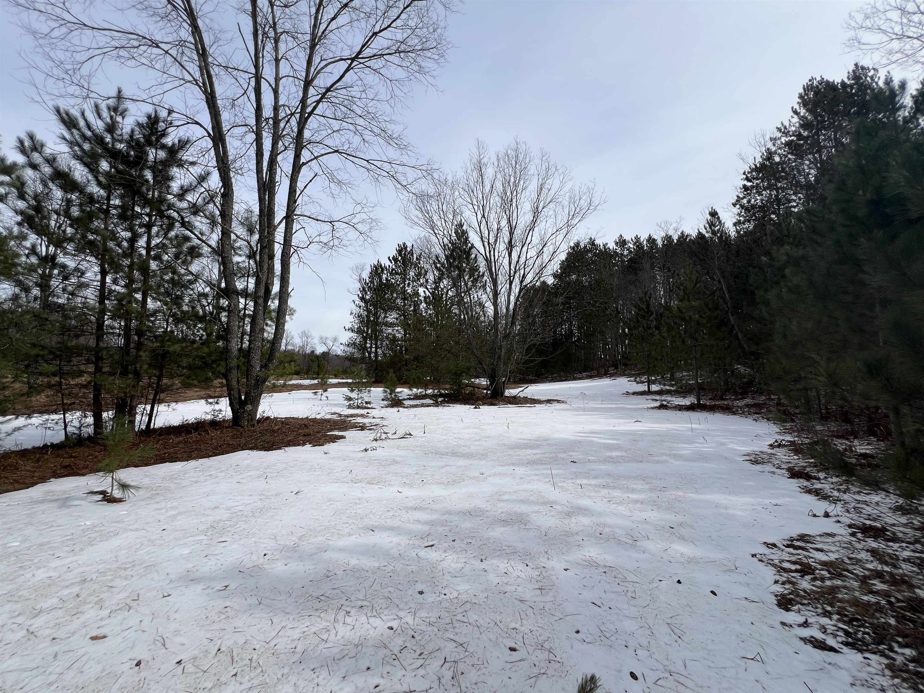 3716 Luce Road South Boardman, MI 49680 - Photo 6 of 9