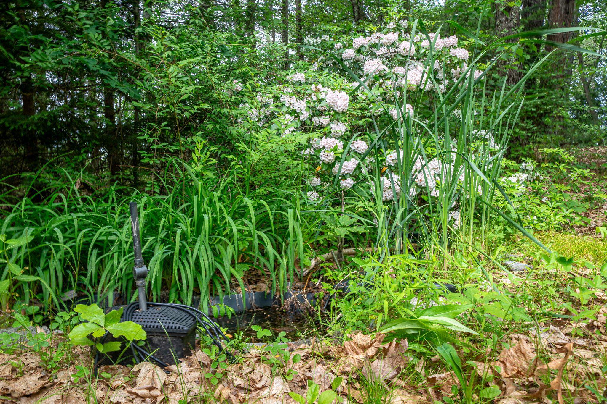 8 Pine Acres Road Amherst, NH 03031 - Photo 7 of 55