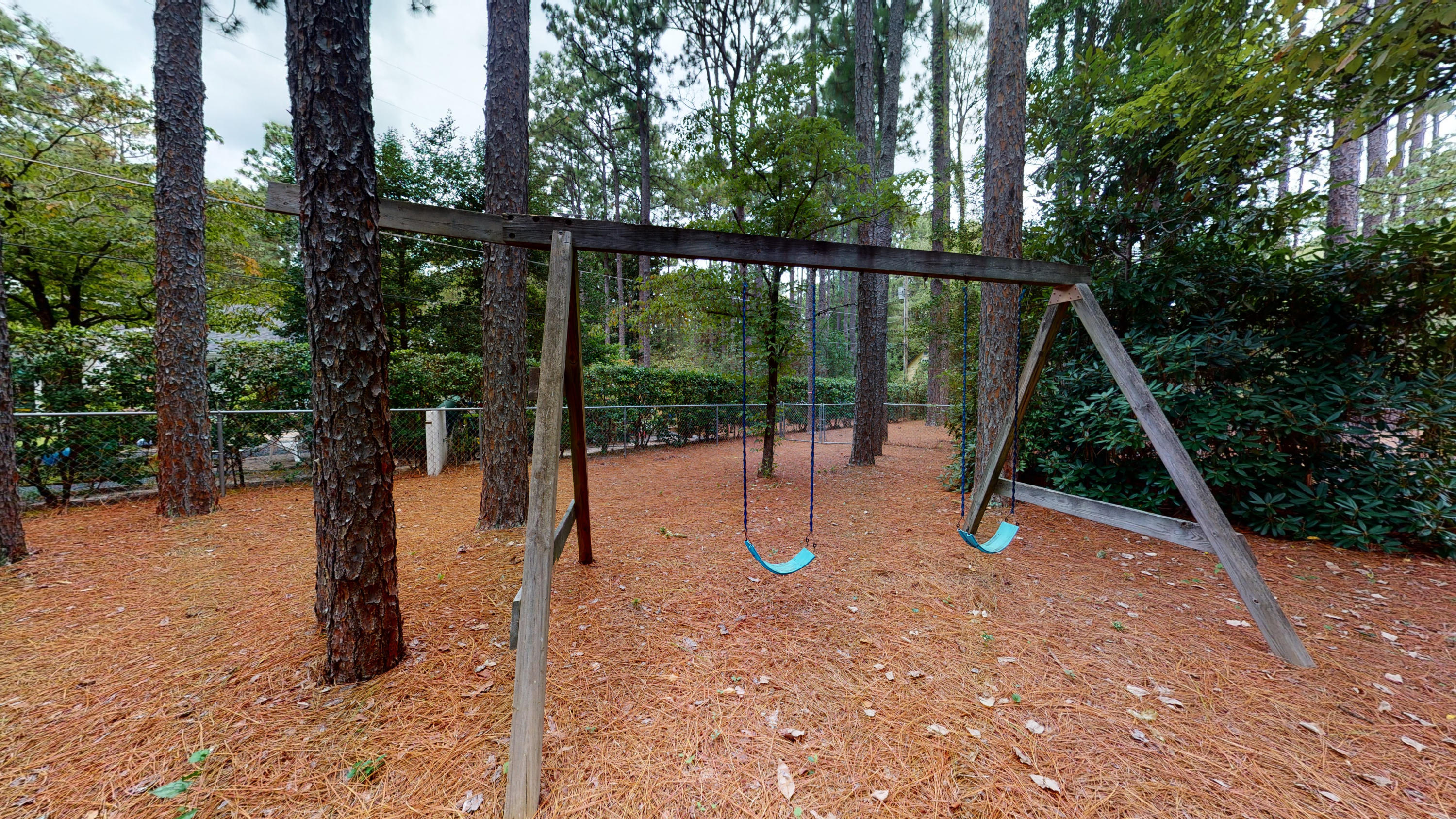 260 Becky Branch Road Southern Pines, NC 28387 - Photo 17 of 19 swing set BB