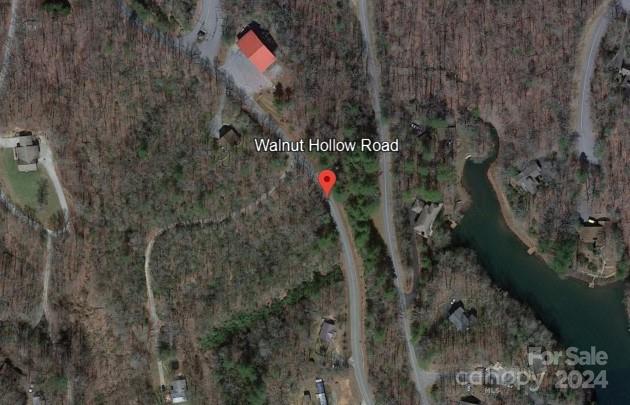 0 Walnut Hollow Road Brevard, NC 28712 - Photo 2 of 2 Gallery Image 2