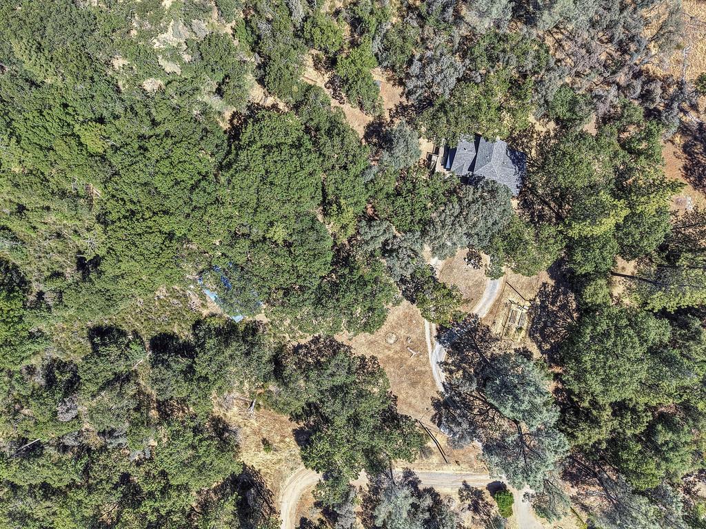 5271 Caprine Road Greenwood, CA 95635 - Photo 46 of 51 Gallery Image 46
