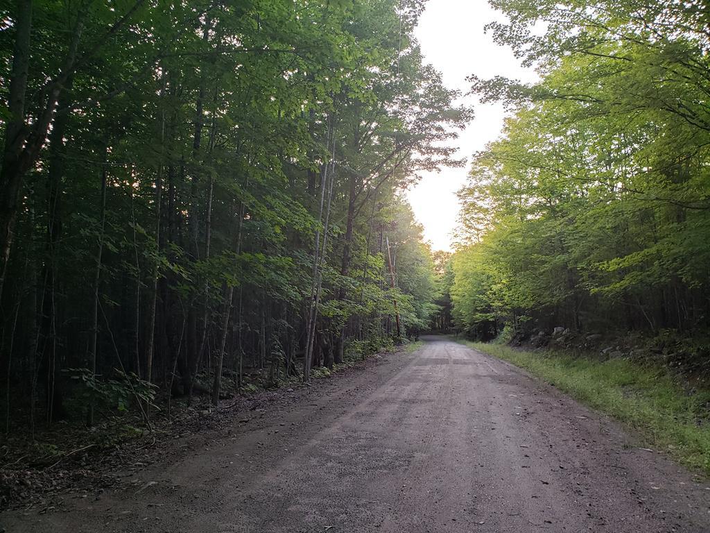 Mapr6-lot19 Dill Road Starks, ME 04911 - Photo 16 of 25 20190829_190924 (Copy)