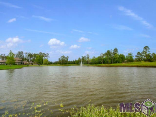 30517 Tupelo Pond Springfield, LA 70462 - Photo 15 of 16 Gallery Image 15