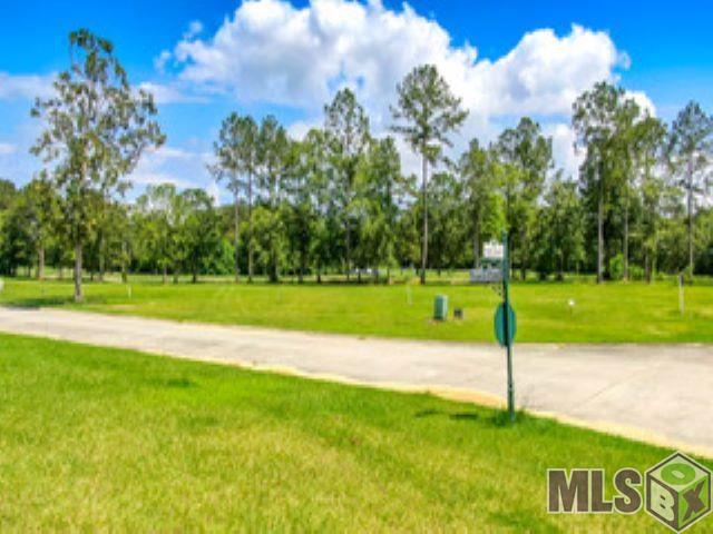 30517 Tupelo Pond Springfield, LA 70462 - Photo 6 of 16 Gallery Image 6