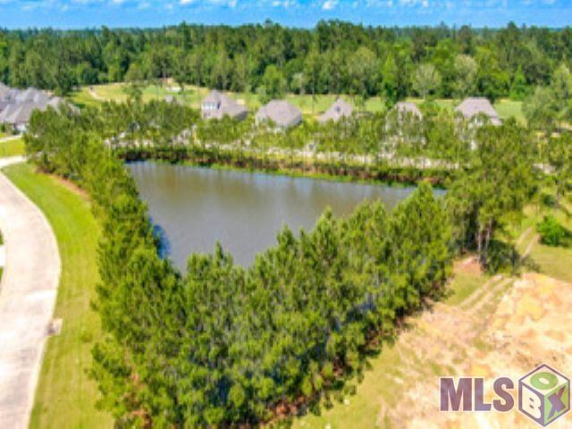 30517 Tupelo Pond Springfield, LA 70462 - Photo 8 of 16 Gallery Image 8