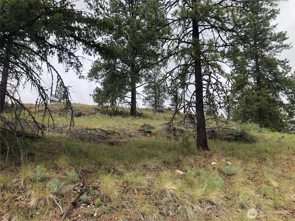 $59,000 | 227 Point Drive, Oroville, WA 98844