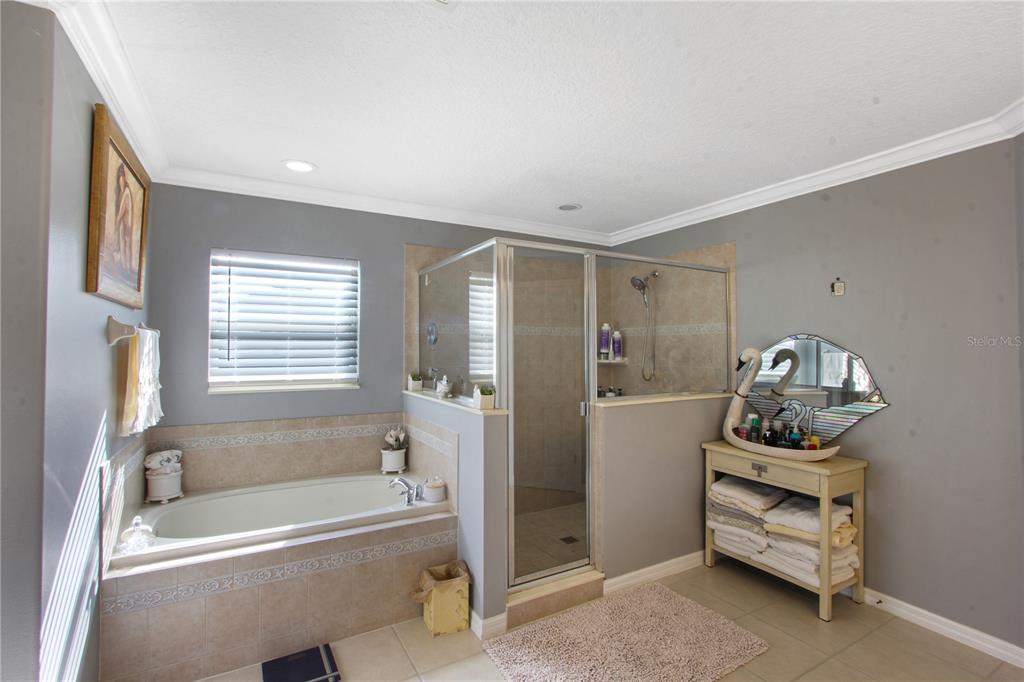 5536 Ansley Way Mount Dora, FL 32757 - Photo 23 of 49 a bathroom with a tub sink and mirror