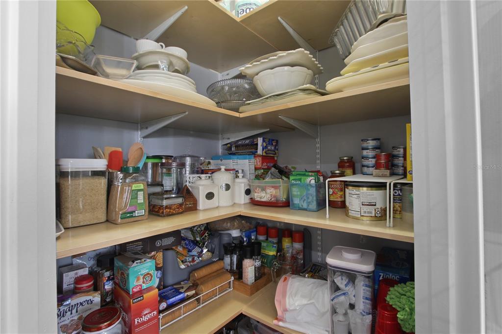 5536 Ansley Way Mount Dora, FL 32757 - Photo 9 of 49