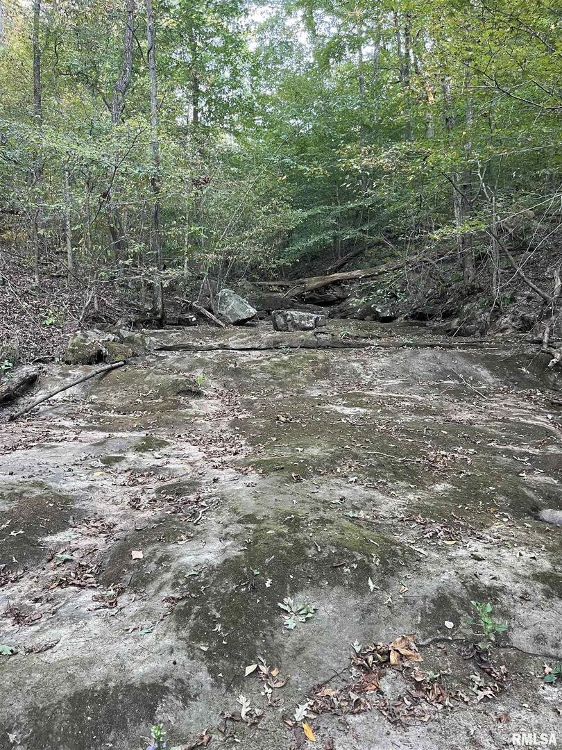 5435 Hickory Ridge Road Pomona, IL 62975 - Photo 59 of 77 a view of a dry yard with trees and stairs