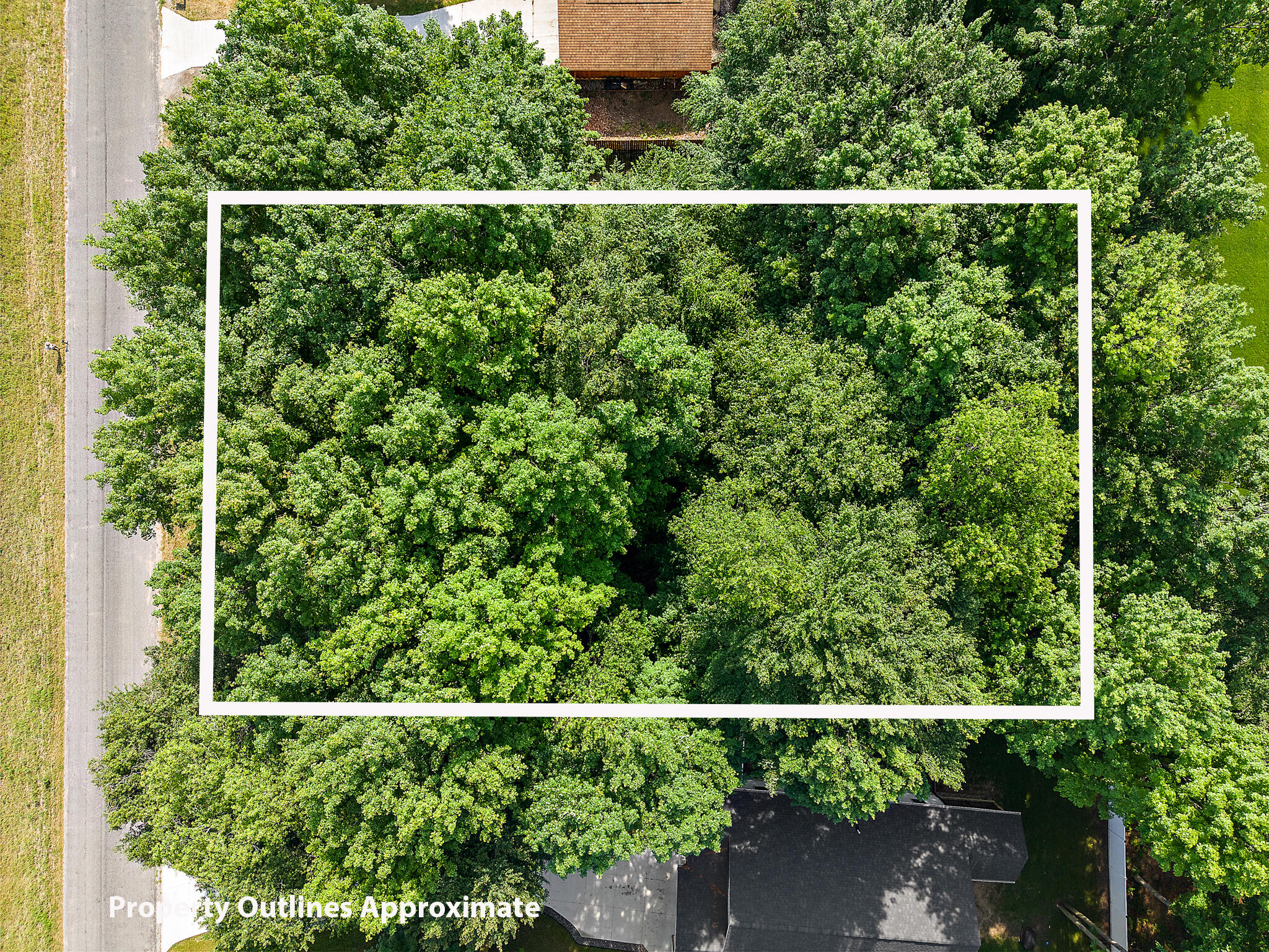 3943 West Harrison Road Hart, MI 49420 - Photo 3 of 10 3