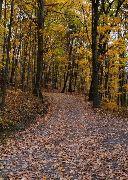 Lot 2 Elm Road Dundee, NY 14837 - Photo 5 of 21 Right of way to property.