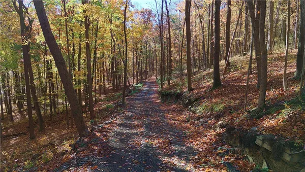$390,000 | Lot 2 Elm Road, Dundee, NY 14837