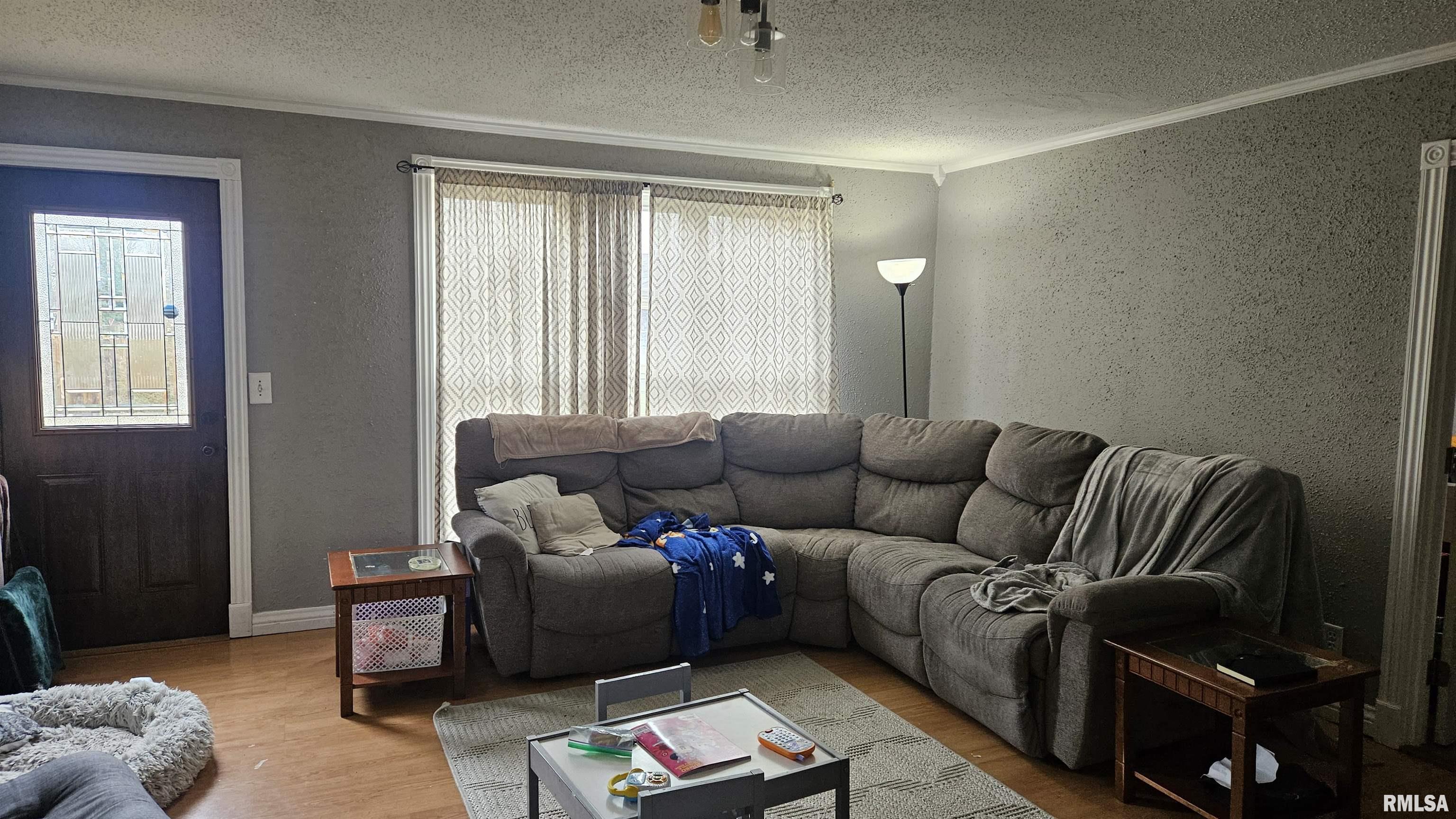 146 East Polk Street Cuba, IL 61427 - Photo 4 of 22