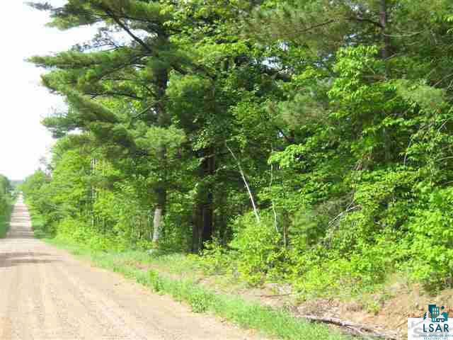 Pine Tree Lane Shell Lake, WI 54871 - Photo 3 of 9