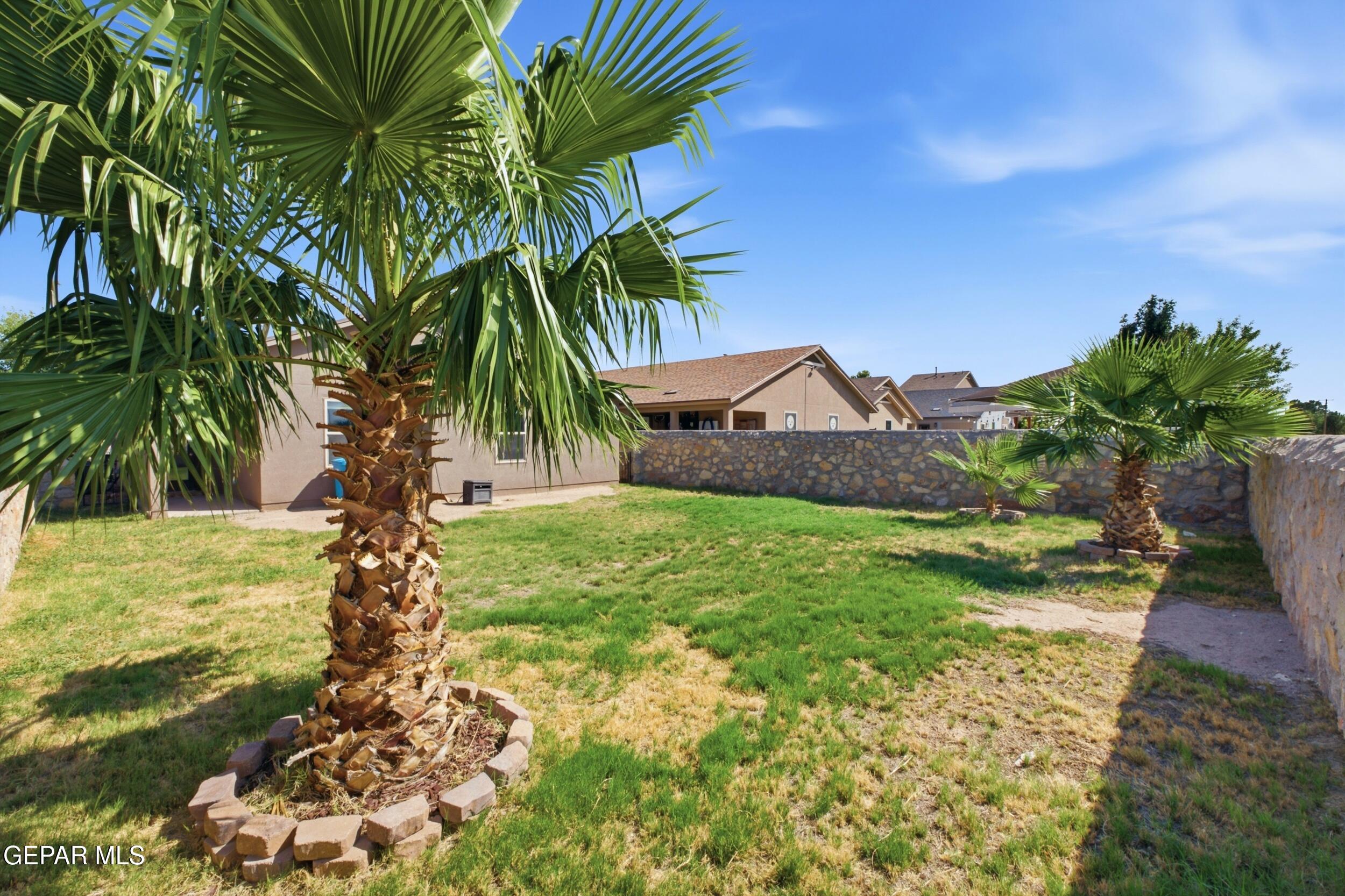 144 Rio Conchos Road Clint, TX 79836 - Photo 30 of 47 dsc05585